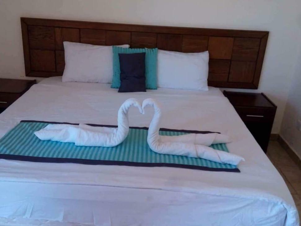 Almarsa Village Resort Aqaba Bilik gambar